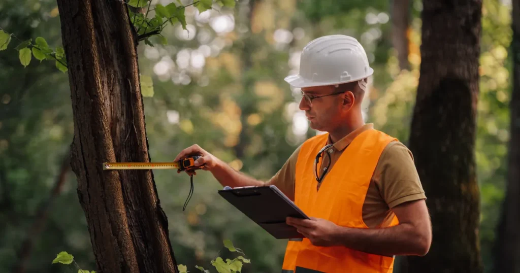 bhp ryzyko zawodowe inżynier leśnictwa