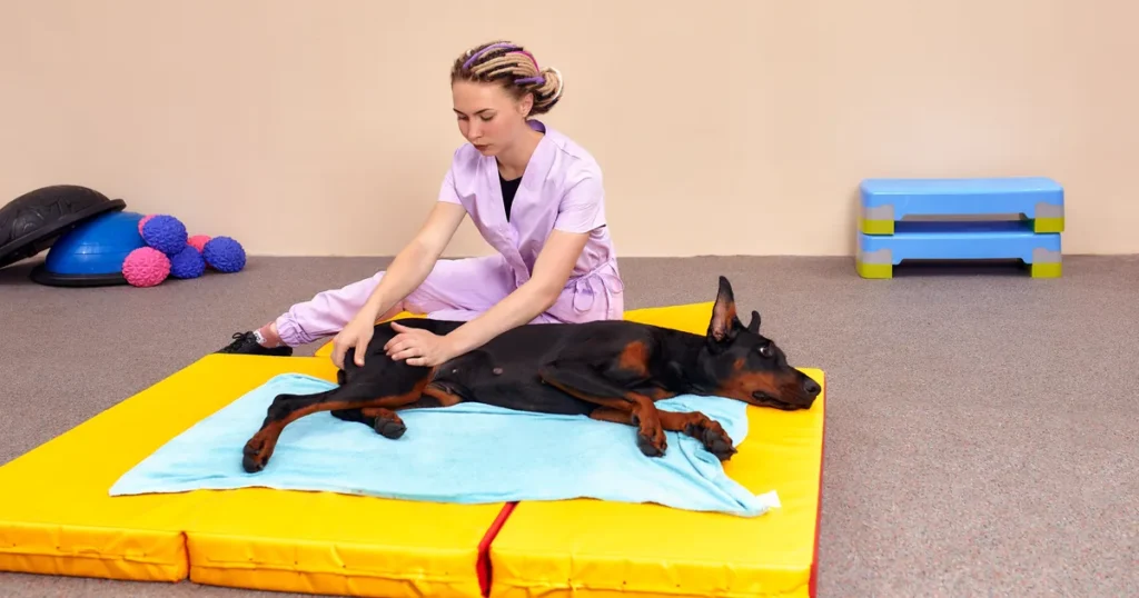 bhp ryzyko zawodowe zoofizjoterapeuta